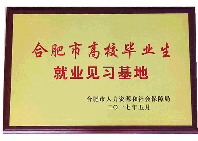 喜訊：公司“合肥市高校畢業(yè)生就業(yè) 見習(xí)基地”申報成功